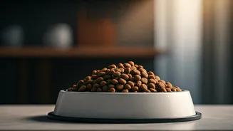High-Protein Bowls Are Winning Indian Pet Homes