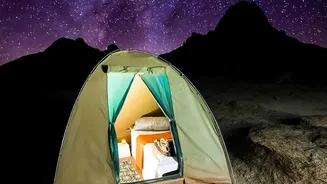 A New Desert Night Safari Is Coming To Deesa, Gujarat