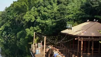 Eco Friendly Resorts In Wayanad Offer Sustainable Bamboo Treehouse Escape Packages