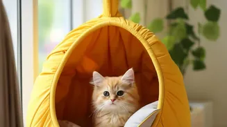 A Cat-Safe Apartment Needs More than Toys and Food