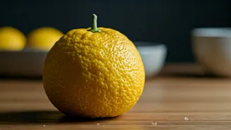 Yuzu Is Bringing Sharp Drama To Indian Plates