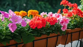 Related Stories banner