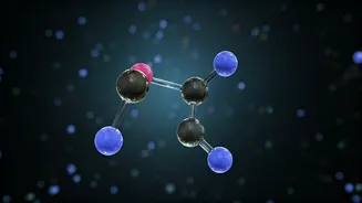 Unveiling the Science Behind Sugar Cravings