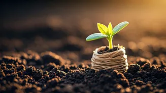 Jivya: Crafting Earth-Friendly Fashion from Seed to Soil