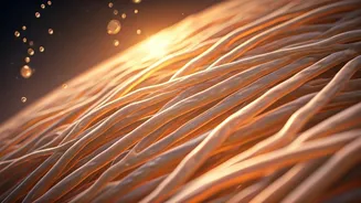 5 Common Collagen Myths: Unveiling the Truth for Healthier Skin