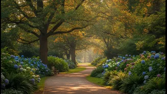A Quiet Park May Help Some Walkers Recover from Screen-Heavy Days