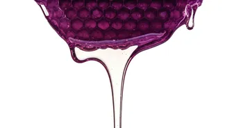 Related Stories banner