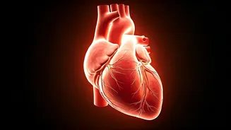 Eat These Foods To Help Unclog Arteries