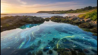 Satellite and Indigenous Coastal Knowledge: What Is New, what Matters and what Remains Unclear