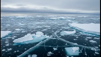 Antarctic Sea Ice Decline Could Reshape Global Climate