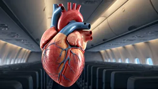 Heart Health at Altitude: What Flying Does