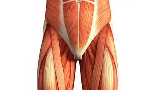 Unlocking Stronger Hips: Exercises for Strength & Pain Relief