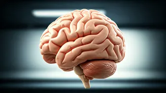 Brain Exercises: Boost Focus & Memory