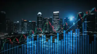 Decoding Nifty's Trajectory: Will the Rally Continue?