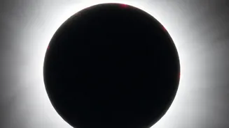 August 12 Solar Eclipse: Why The Corona Became A Research Opportunity