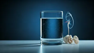 Related Stories banner