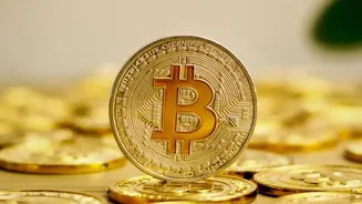 How To Build Digital Gold Portfolios using SGBs And ETFs Without Storage Costs