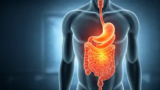 Heartburn Persisting? Harvard Doctor Uncovers Two Common Culprits You Might Be Missing