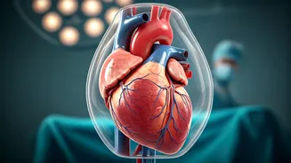 5 Habits Harming Your Heart: Expert Insights