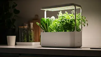 Vertical Farming Tech Installs Easily Inside Tiny Delhi Kitchens Now