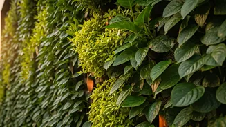 Sustainable Living Is Winning Hearts