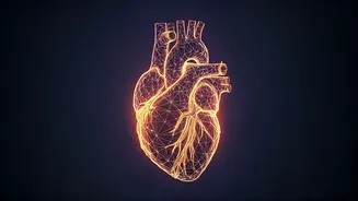 Unlock Vibrant Heart Health: Your Essential Guide to a Stronger, Happier Life