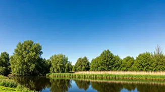 Clean Air Havens: 7 Indian Cities with Pristine Air