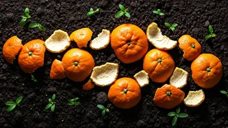 Unlock Your Garden's Potential: The Amazing Uses of Orange Peels!