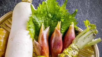 Pink Radish Recipes: The Appeal of Crisp Pink Radish in Fresh Plates