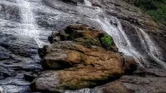 Karnataka Waterfall Visits Post-Monsoon: Important Information On Swimming Restrictions Today