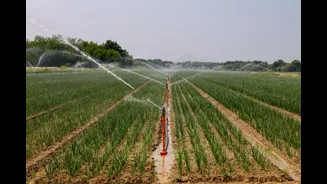 How AI is Transforming Agriculture in India