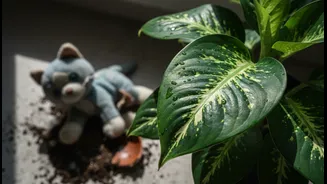 Watch For Vomiting, Drooling Or Unusual Behaviour After Plant Exposure