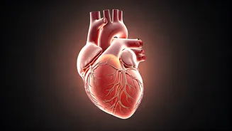 Cancer Horoscope: January 20, 2026 - Daily Insights