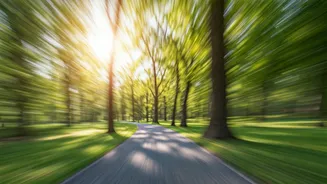 5,000 Steps a Day: Alzheimer's Prevention