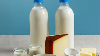 Cheese and Yoghurt Support Mediterranean Meals Without Dominating Them