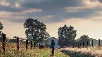 Mindful Walking May Support Mood without Replacing Mental Health Care