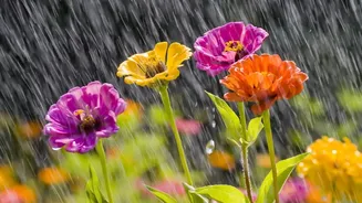 Monsoon Photography In India: Where Rain Transforms Landscapes Into Photo-Worthy Scenes