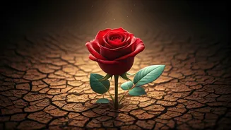 Sadhguru's Wisdom: Turning Betrayal into a Spiritual Awakening