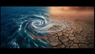 Why El Niño Is Closely Linked To India's Monsoon Expectations