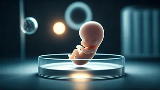 Bombay HC Explores ART for Women Over 50: Medical Tests Ordered