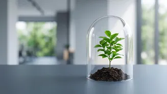 Emergency Fund 101: Critical Liquid Cash Targets Required Before Starting Equity SIPs