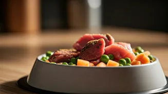 Pet Food Is Moving Beyond Basic Kibble Fast