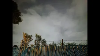 Delhi-NCR to Witness Rain, Thunderstorms, and Strong Winds