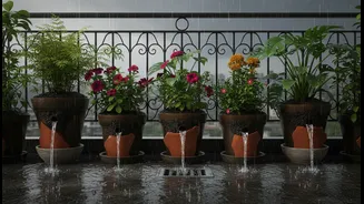 Simple Balcony Drainage Hacks Can Protect Potted Plants From Monsoon Waterlogging