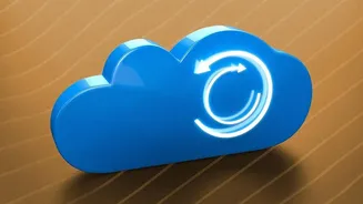 Extract Key Study Notes Safely: How Offline AI Plugins Protect Student Cloud Privacy