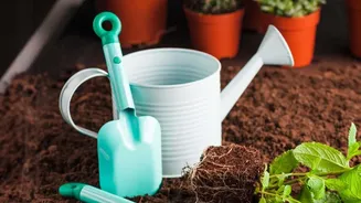 How Often Should You Water Indoor Plants During Humid Monsoon Weather