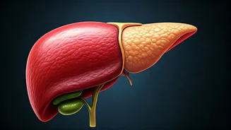 The Silent Liver Crisis: Young Professionals Facing Fatty Liver Disease in India
