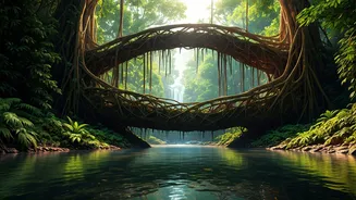 Root Bridges And Mangroves Are The New Travel Flex