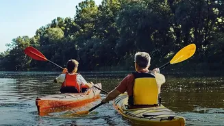 Kayaking And Paddleboarding: Arm And Shoulder Work During Paddling Compared