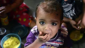 1,500-populated Maharashtra village records 27,000 'births' in 3 months